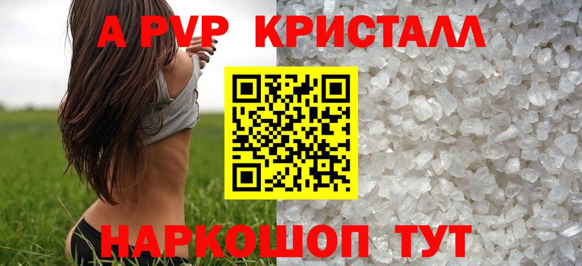 APVP СК Шатура
