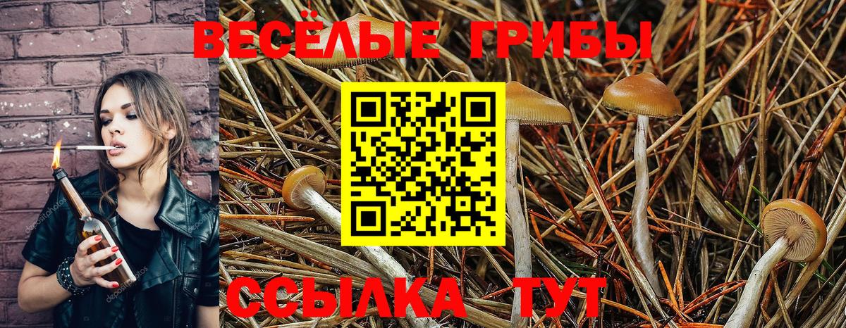 Псилоцибиновые грибы мухоморы  Вход с VPN  Шатура 